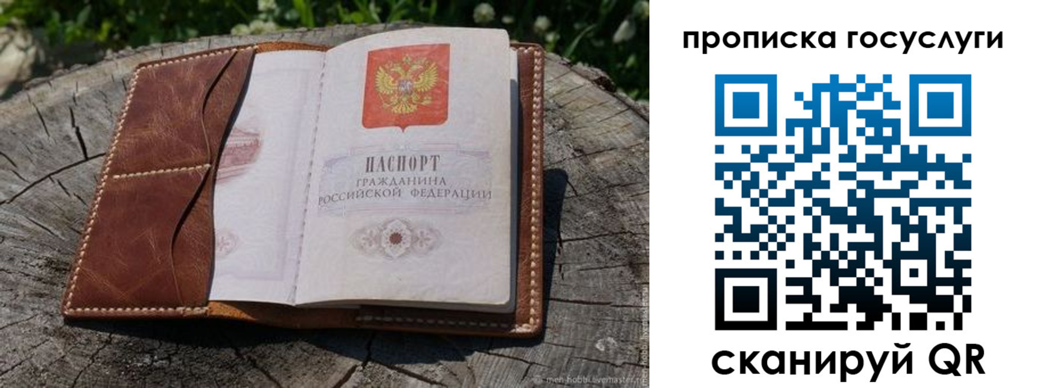 прописка для школы в Будённовске